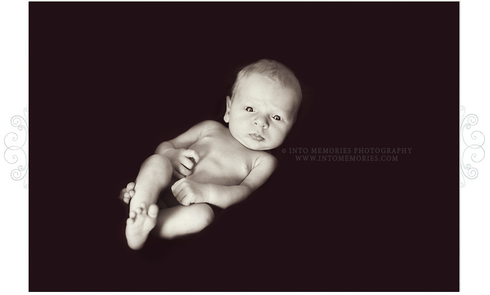 CNY Baby Photographer Portraits