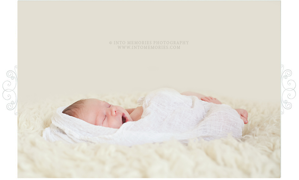 Liverpool Clay NY Newborn Baby Portrait Photography
