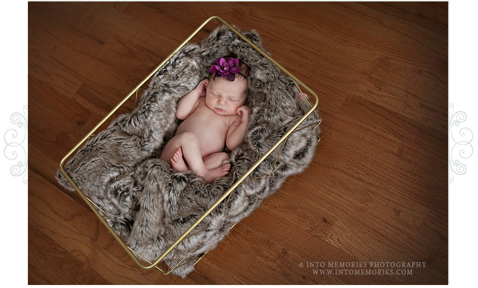 Syracuse Newborn Baby Photographer