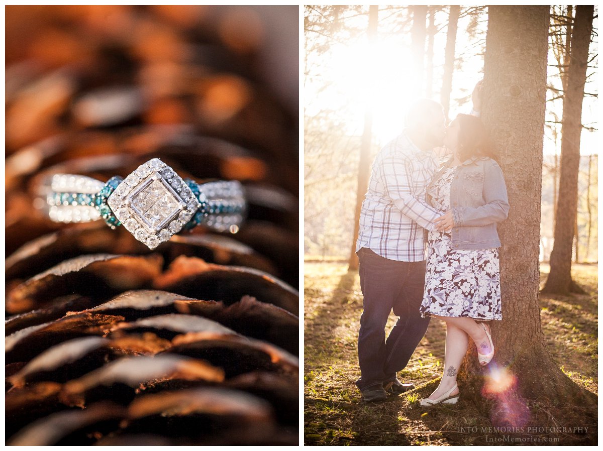 Fayetteville Manlius NY Engagement Into Memories Photography Wedding